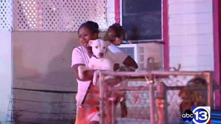 Firefighters say neighbors risked their own safety to rescue two family pets.