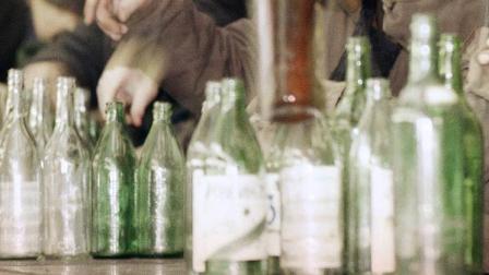 The Komsomolskaya Pravda daily reported that trainer Leonid Labo had the animals drink 10 liters (2.6 gallons) of vodka diluted in warm water (AP photo)
