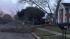 Strong winds cause power outages, damage... :: Our ABC13 photographer took this picture of a tree that blew over in the Richmond area. You can email your weather photos and videos to news@abc13.com.