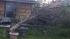 An ABC13 viewer sent in this photo of a magnolia...