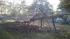 An ABC13 viewer sent in this photo of a dead...