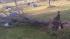 An ABC13 viewer sent in this photo of a fallen...