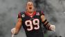 Texans DE J.J. Watt
