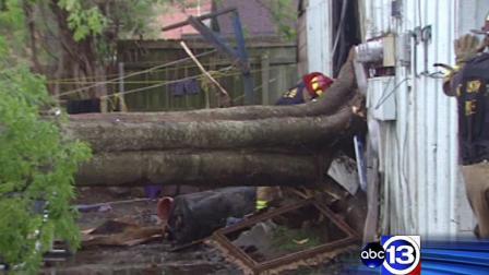 Firefighters say wind knocked over this tree, which was attached to the apartment building, and started a fire