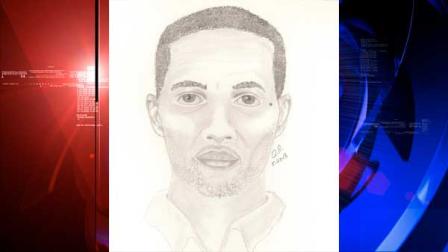 Suspect sketch