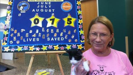 Citizens for Animal Protection is having a Pet-A-Fair adoption event. There are no adoption fees. This kitty was adoption number 75.