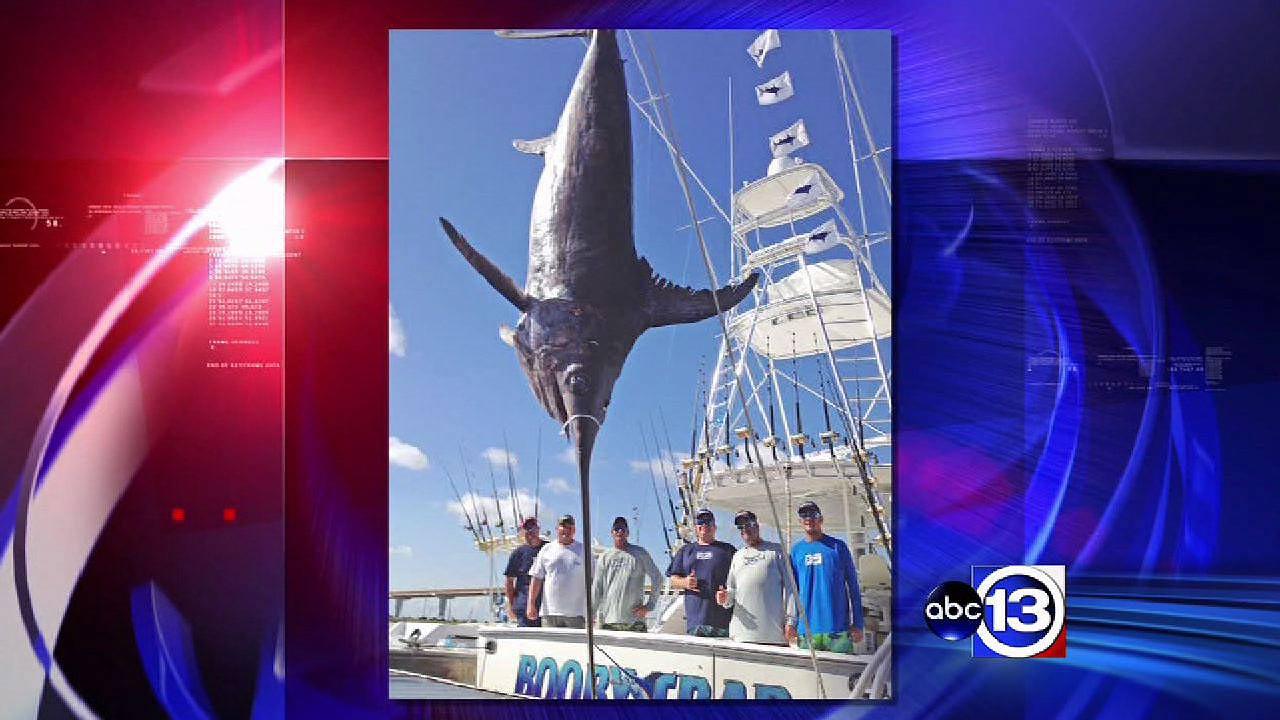 Massive swordfish caught in Texas
