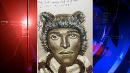 Sketch of Teddy Bear Bandit suspect