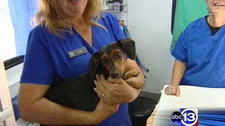 The city is partnering with some of Houstons pet advocate groups to try something theyve never done before in the community: targeted spaying and neutering