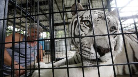 Animal sanctuary death