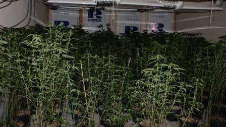 Fort Bend County drug bust