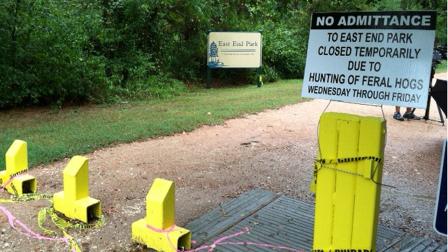 Kingwood residents living near East End Park, off Kingwood Drive, have been awaking to uprooted yards and flower beds for the last few months, so trappers have been sent to find the feral hogs believed responsible.