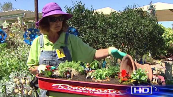 Fairy, mini gardens have many benefits