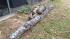 Toddler killed by falling tree branch Toddler killed by falling tree branch