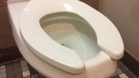 Standard toilet