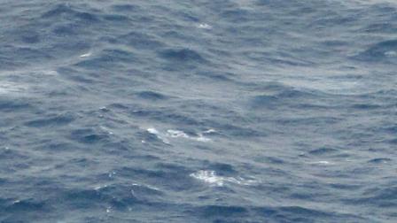 Lost at sea
