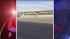 Police chase emu down Texas highway Police chase emu down Texas highway