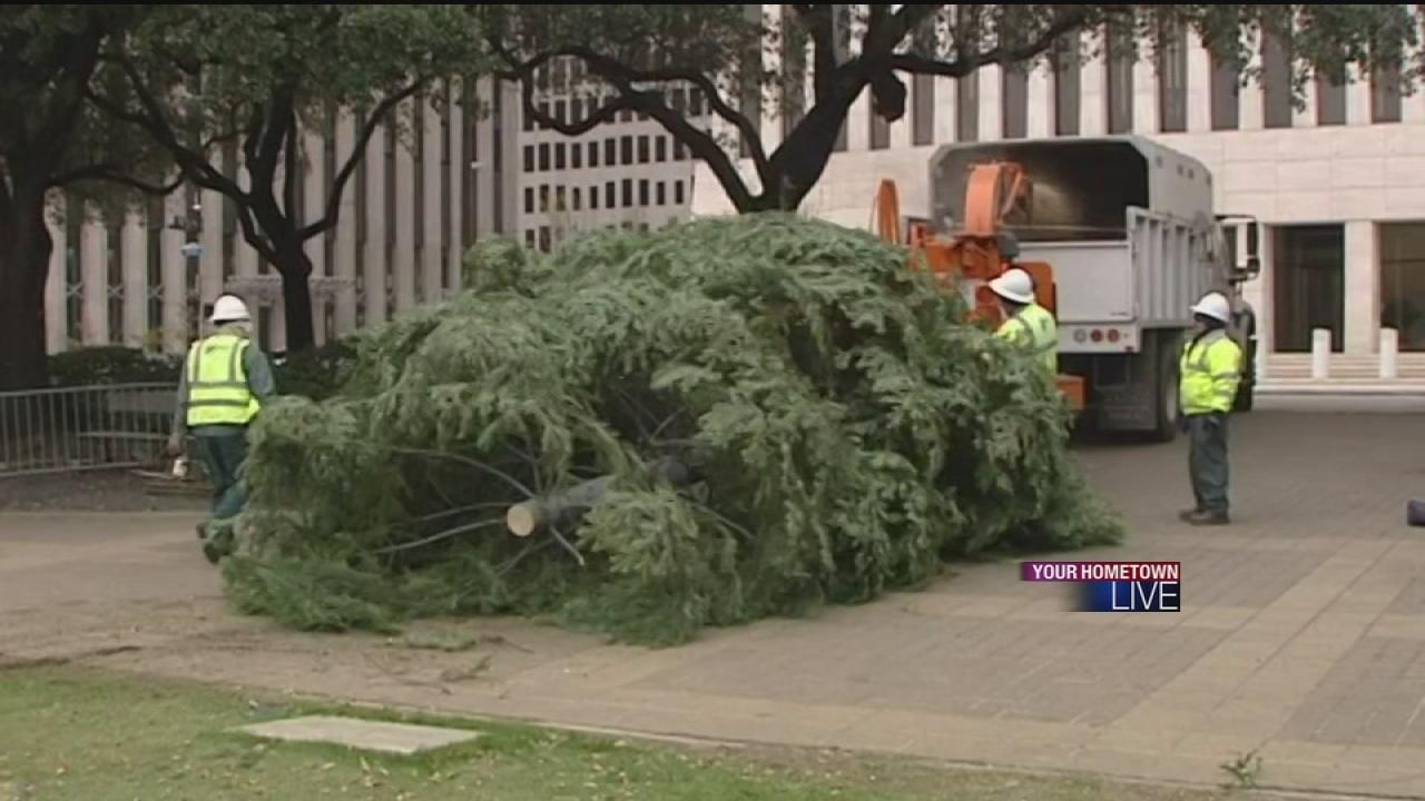 city of houston recycles city hall christmas tree city of houston recycles city hall christmas tree