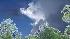Viewer weather photos