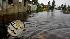 Hurricane Ike