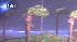High winds whip trees as Hurricane Ike comes ashore in Galveston