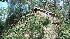 Viewers views of Ike