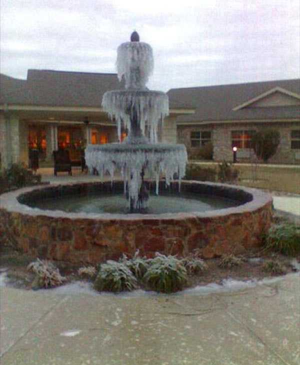 The freezing temperatures were too much for...