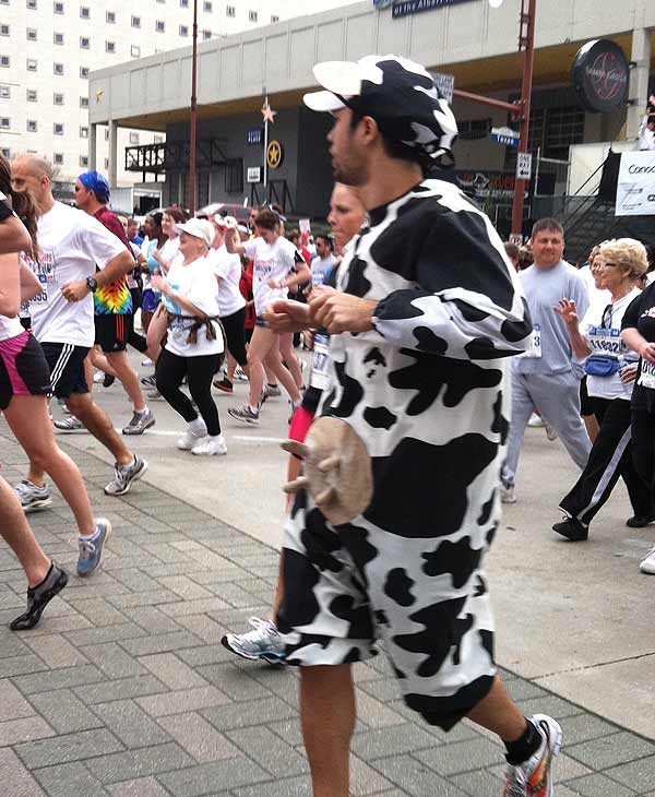 Many took part in the 24th annual...