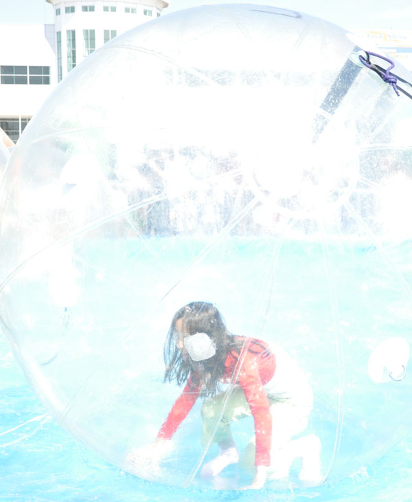 Images from the Carnival at the Houston...