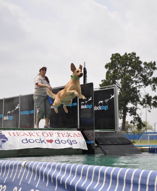 Paws in the Park was held in Pearland to...