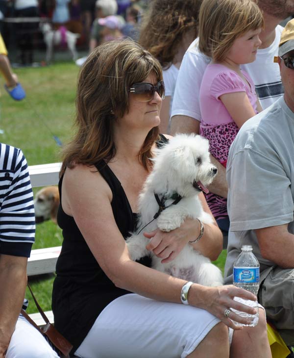 Paws in the Park was held in Pearland to...