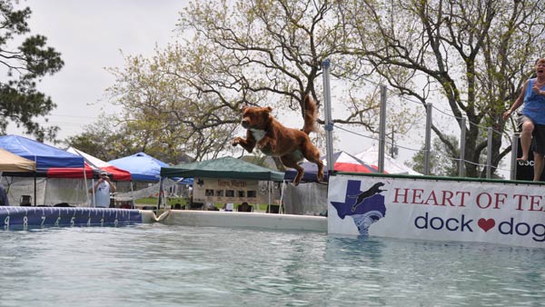 Paws in the Park was held in Pearland to...