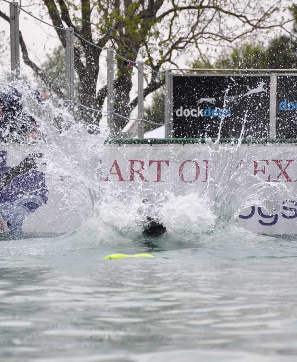 Paws in the Park was held in Pearland to...