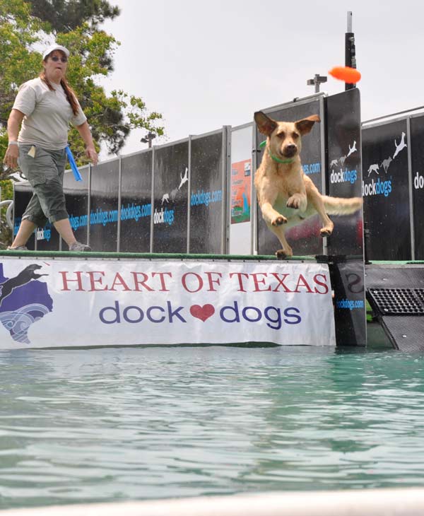 Paws in the Park was held in Pearland to...