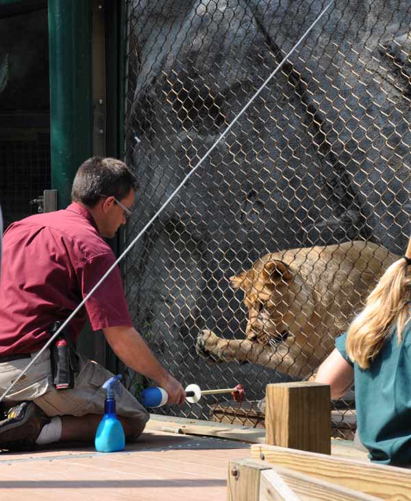 Cast members from CATS visit the big cat...