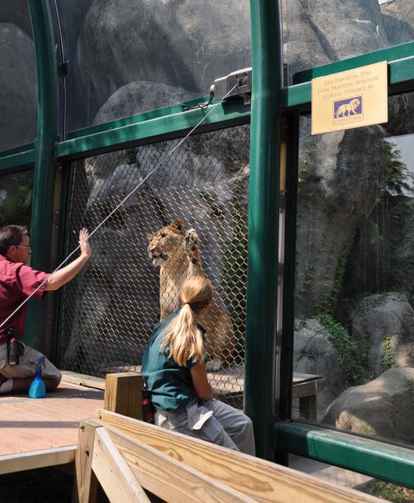 Cast members from CATS visit the big cat...