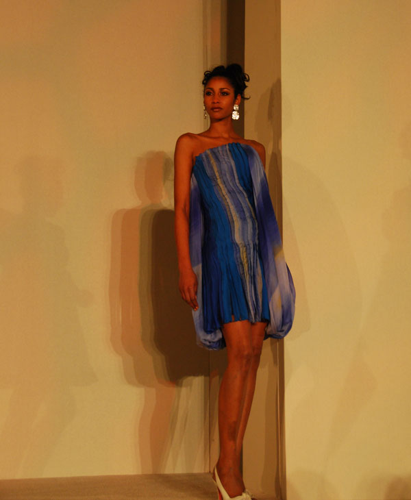 The Latin Womens Initiative hosted the...