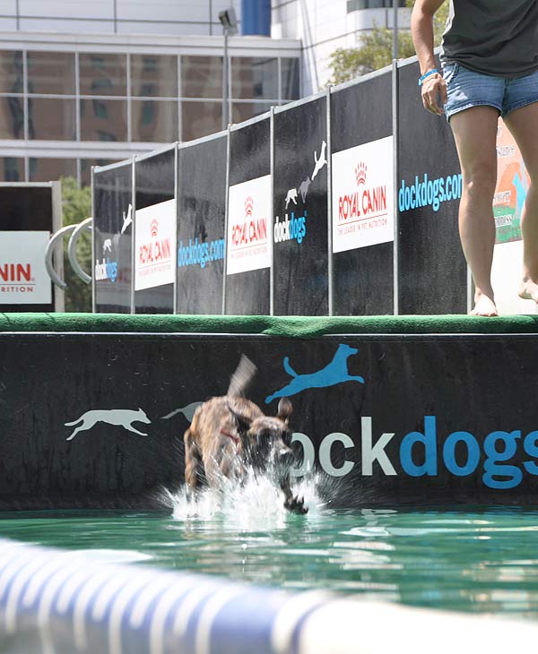 Many came out to check out the national tour...