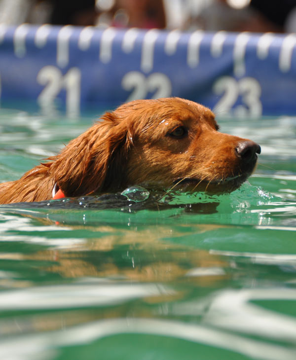 Many came out to check out the national tour...