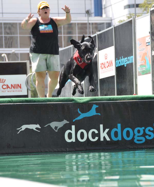 Many came out to check out the national tour...