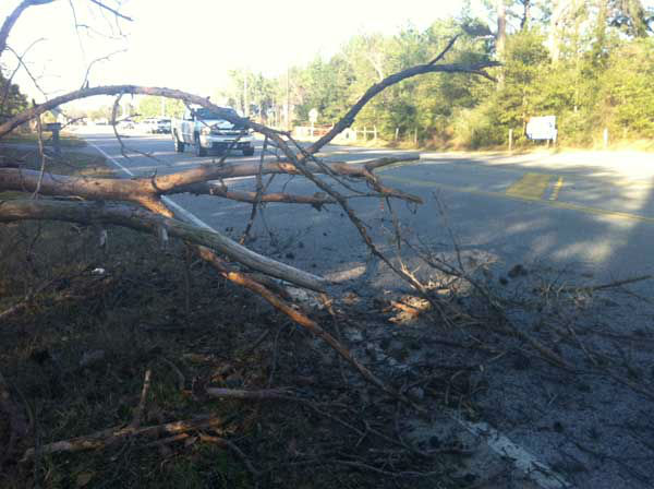 An ABC13 viewer sent in this photo of a fallen...