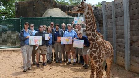 Yao, the baby giraffe at the Houston Zoo, is improving after a life-threatening bone infection
