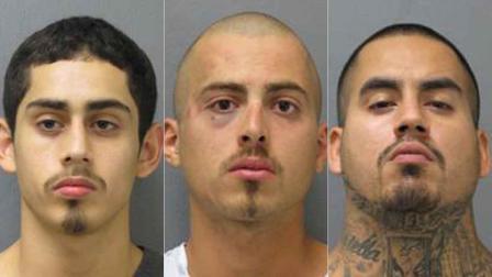 Three brothers arrested after police chase