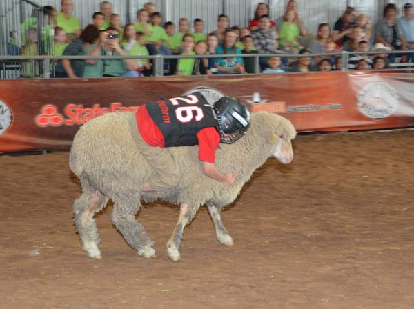 Image from the 2012 RodeoHouston at Reliant...