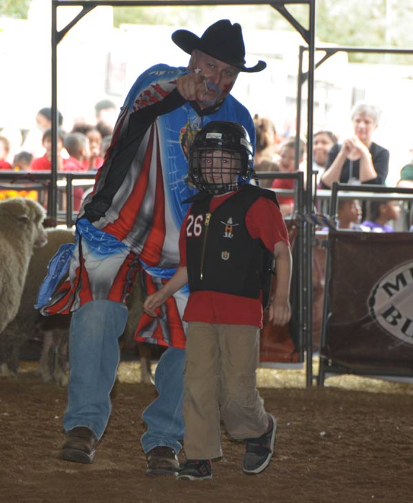 Image from the 2012 RodeoHouston at Reliant...