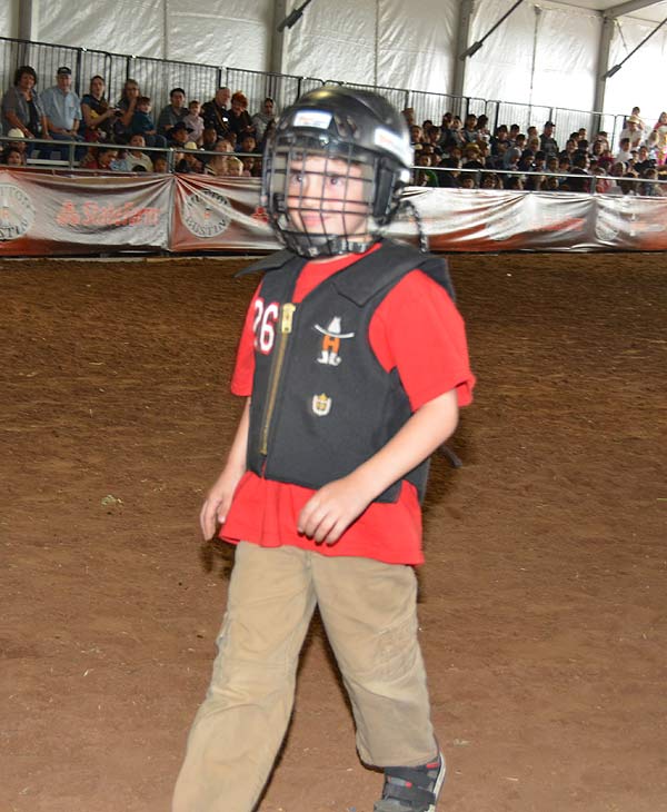 Image from the 2012 RodeoHouston at Reliant...