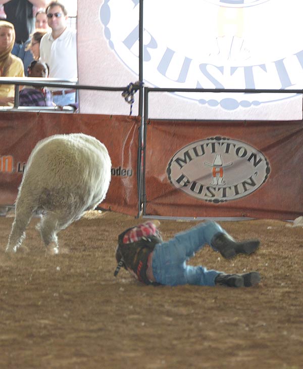 Image from the 2012 RodeoHouston at Reliant...