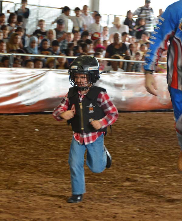 Image from the 2012 RodeoHouston at Reliant...