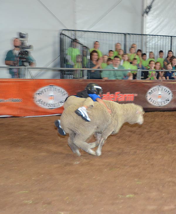 Image from the 2012 RodeoHouston at Reliant...