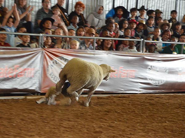 Image from the 2012 RodeoHouston at Reliant...